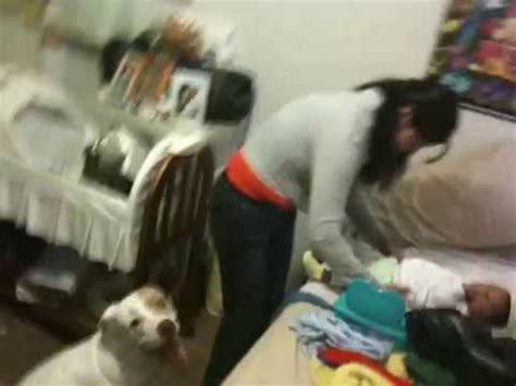 chicas follando con perros|Empinadita la adolescente se deja penetrar por su perro